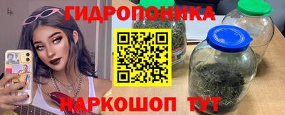 apvp Пенза