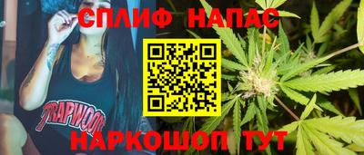 стаф Бузулук