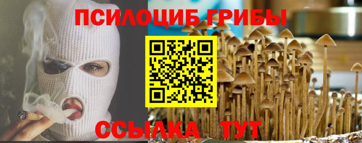 Канск  Галлюциногенные грибы GOLDEN TEACHER  Вход с VPN  Псилоцибиновые грибы Cubensis 